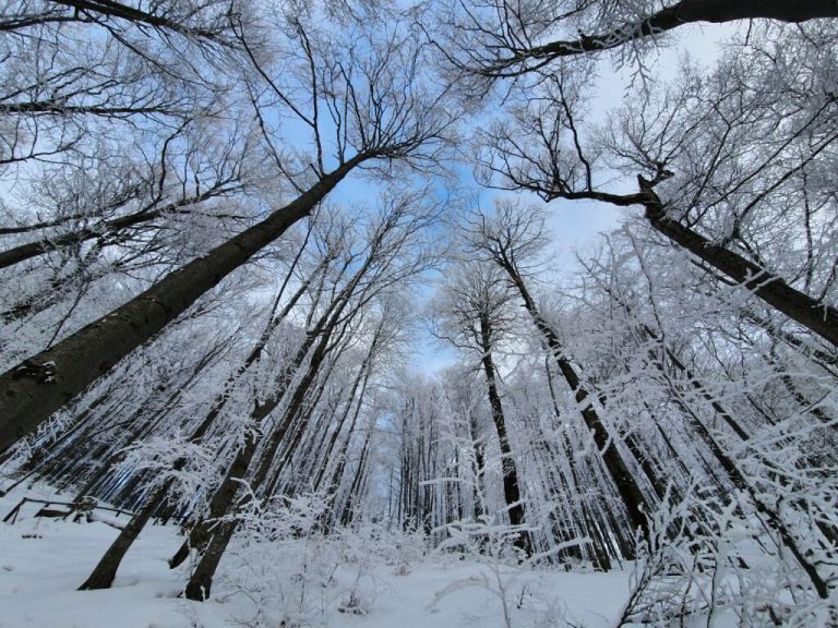 Bieszczady zimą