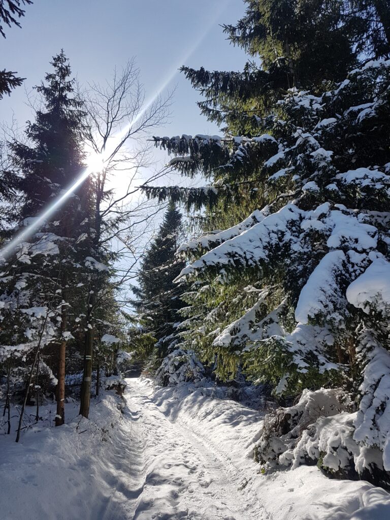 Beskid Sądecki